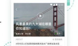 手机新闻爆料,最新热点事件深度解析